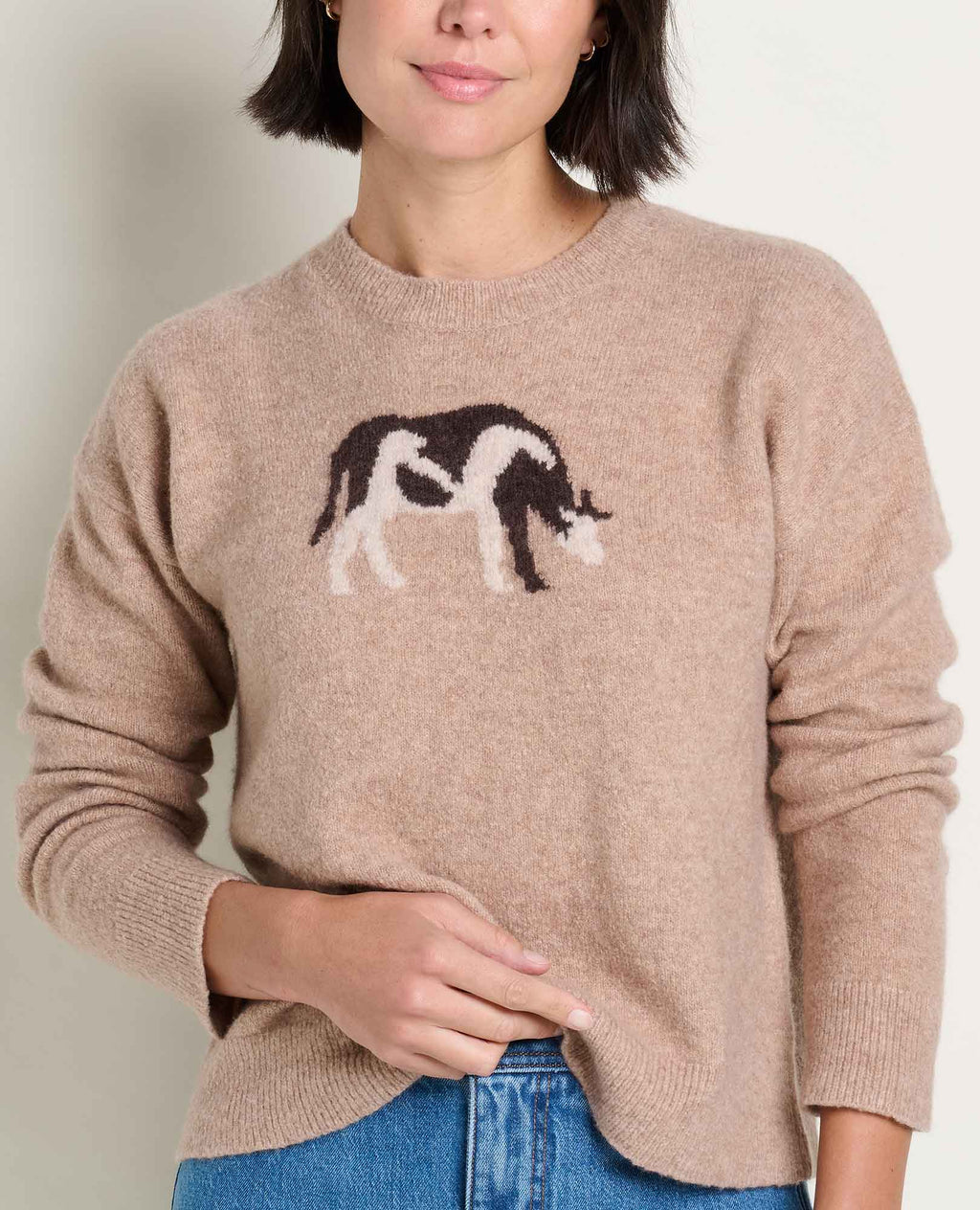 Wasatch Crew Sweater