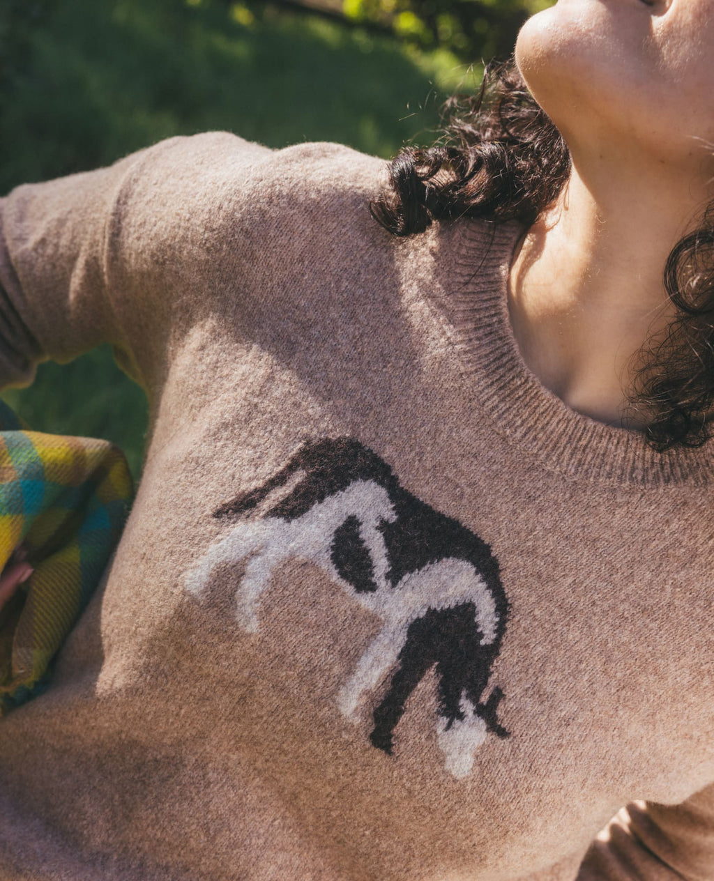 Wasatch Crew Sweater