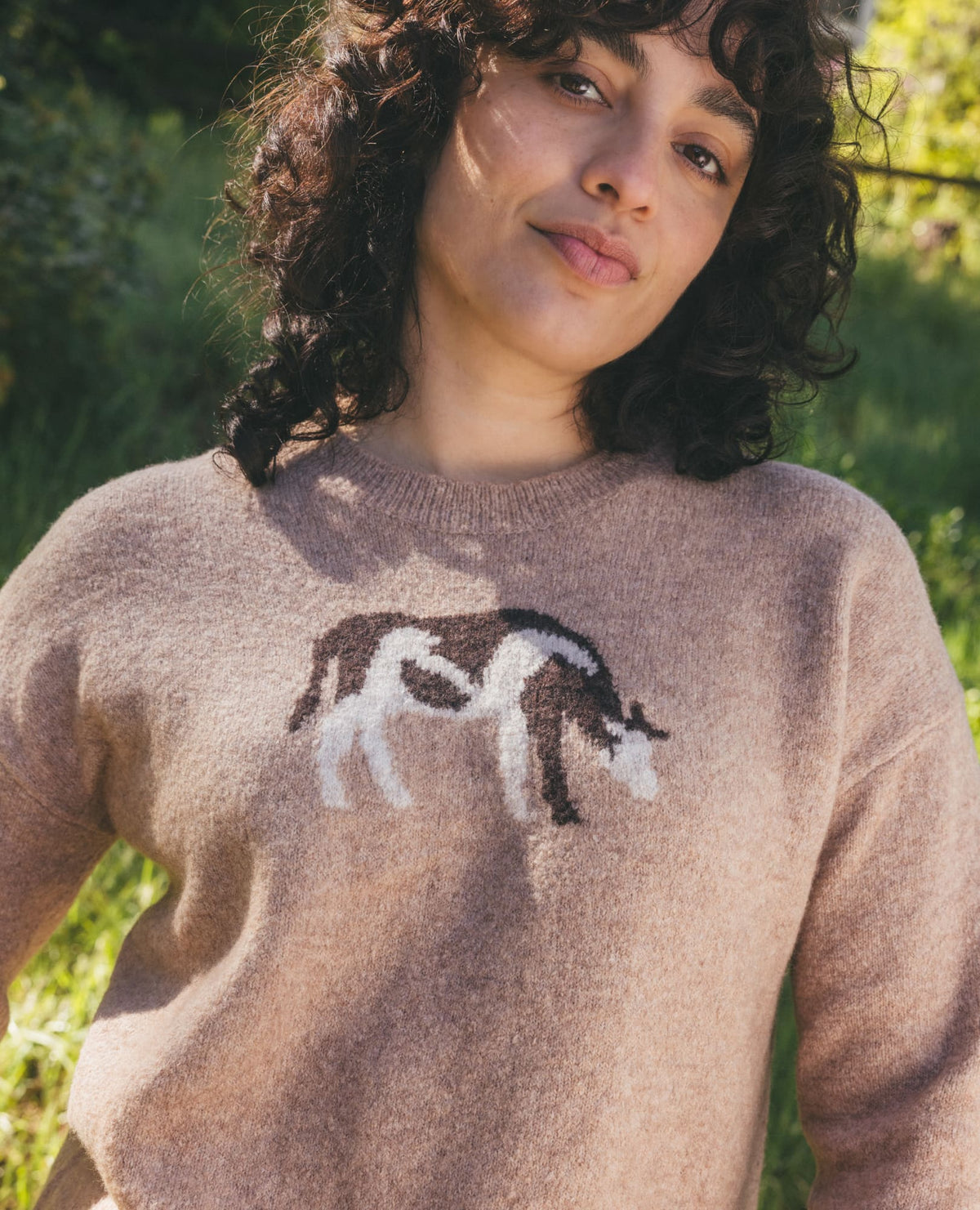 Wasatch Crew Sweater
