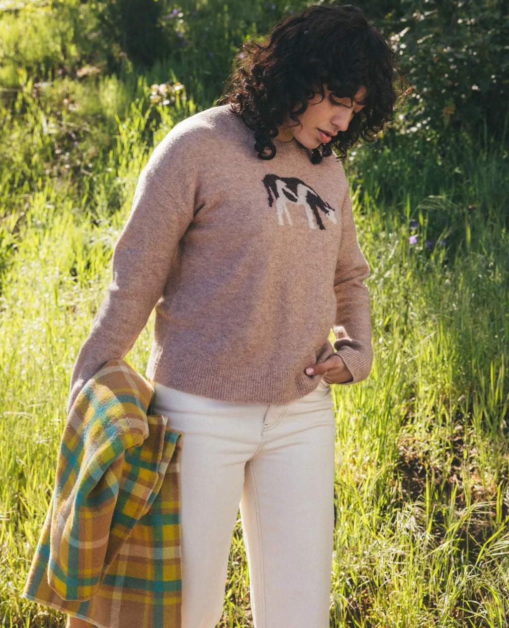 Wasatch Crew Sweater